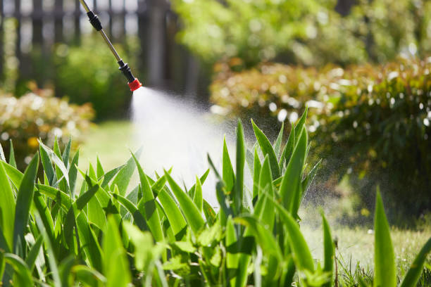 24/7 Emergency Ant Control experts in Big Spring, TX