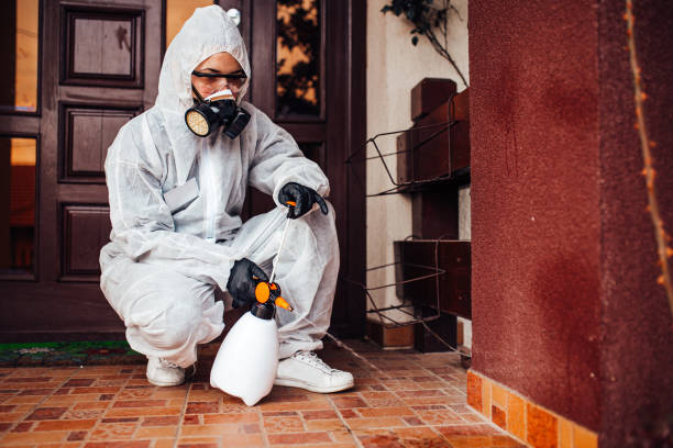 Reliable Ant Control contractor in Big Spring, TX by Show Me Pest Control